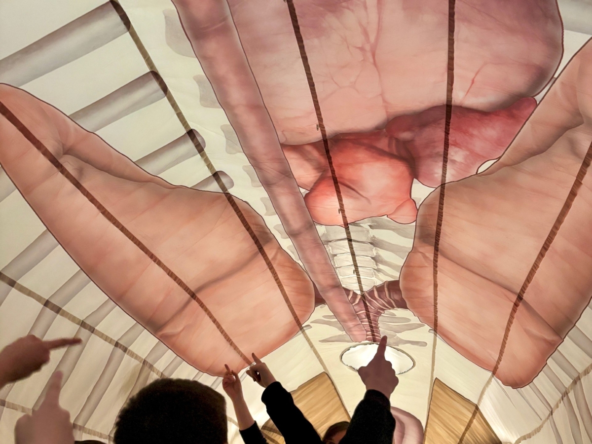 RAiSE and Excelerate: Celebrating a decade of partnership and impact