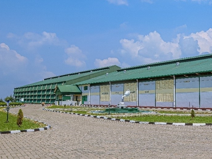 Mushubi 5