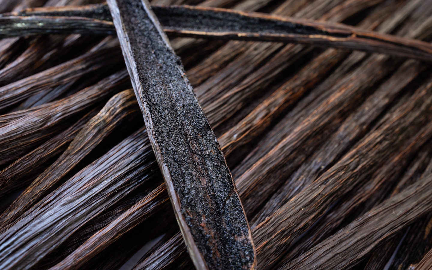 Aromatic vanilla beans for baking and desserts 2026 03 17 05 36 34 utc