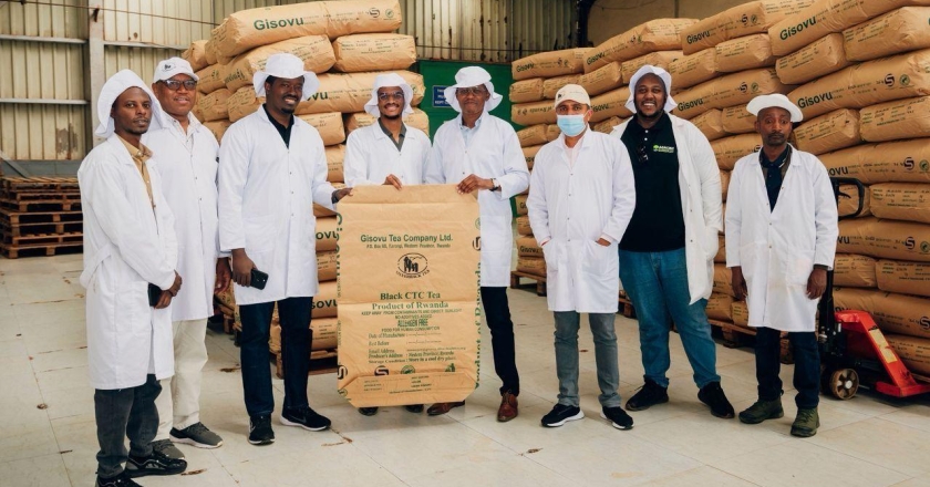 Gisovu, Pfunda & Rugabano, Rwanda