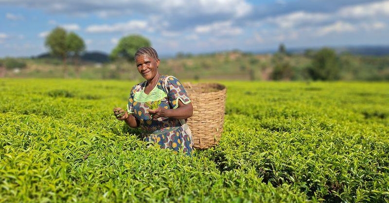Njombe, Tanzania
