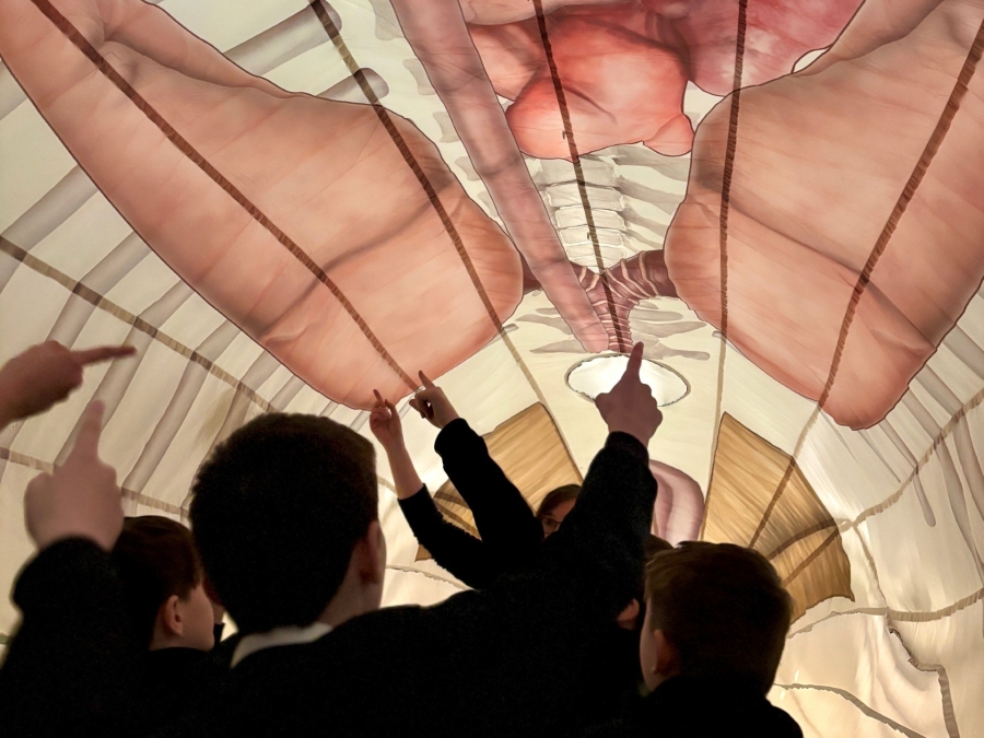 RAiSE and Excelerate: Celebrating a decade of partnership and impact